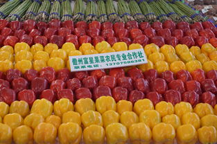 著力打造農(nóng)業(yè)品牌，全力促進(jìn)農(nóng)民增收——我市積極參展2014年中國（海南）國際熱帶農(nóng)產(chǎn)品冬季交易會(huì)