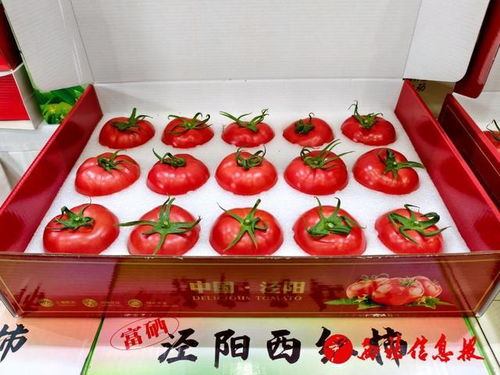 涇陽縣2026年“番茄領(lǐng)鮮 陜亮生活”農(nóng)產(chǎn)品產(chǎn)銷對(duì)接活動(dòng)圓滿舉行
